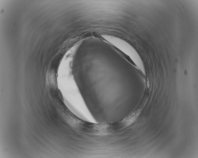 X0000062850143200602031636