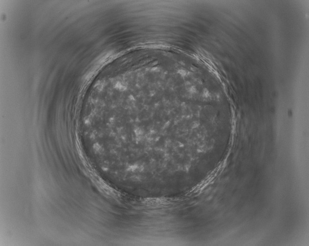 X0000062850145200602031635