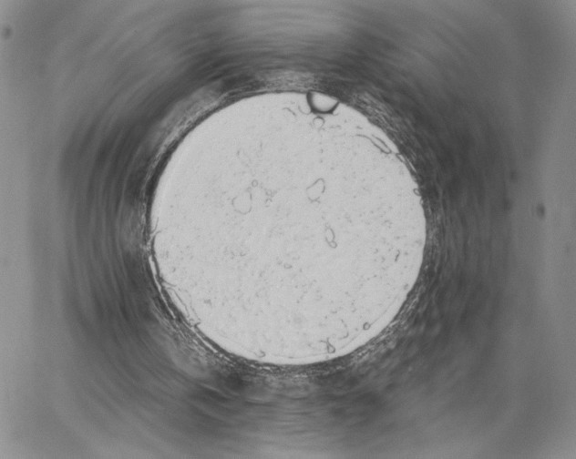 X0000062850146200602031635