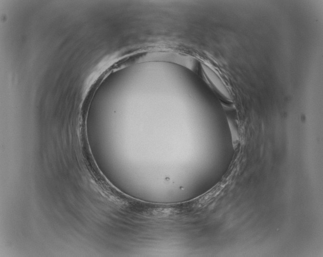X0000062850152200602031635