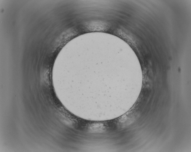 X0000062850162200602031635
