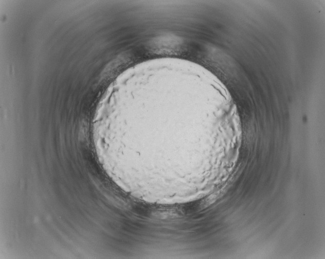 X0000062850175200602031636