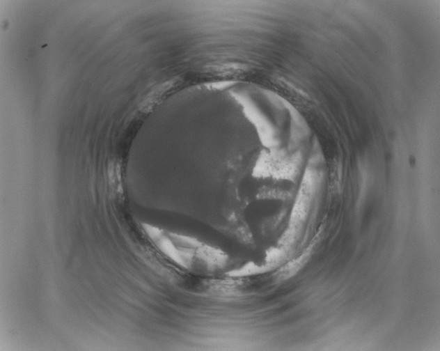 X0000062850182200602031636