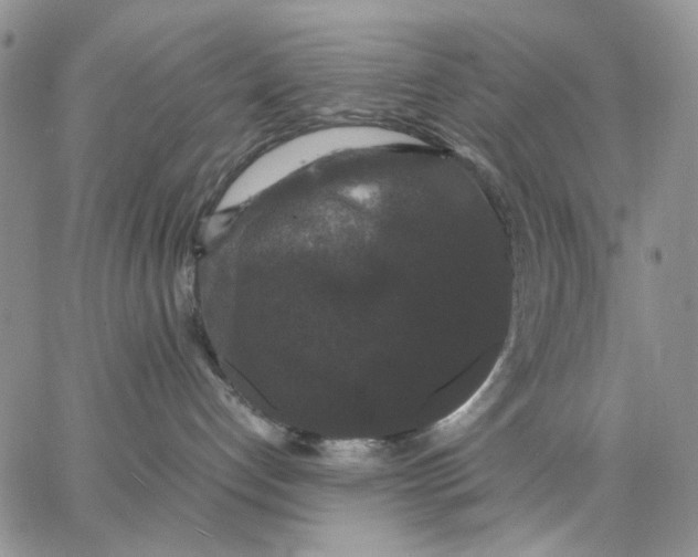 X0000062850192200602031636