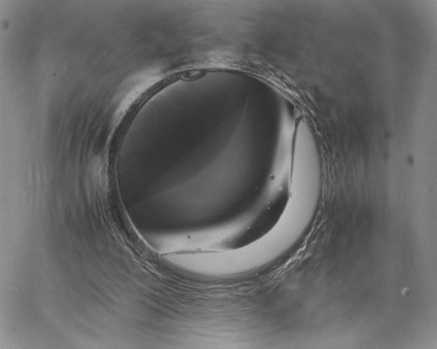X0000062850200200602031635