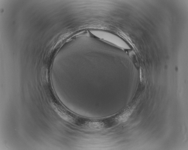 X0000062850205200602031635