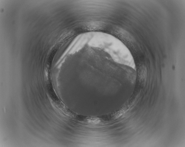 X0000062850214200602031635