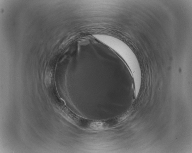 X0000062850227200602031635