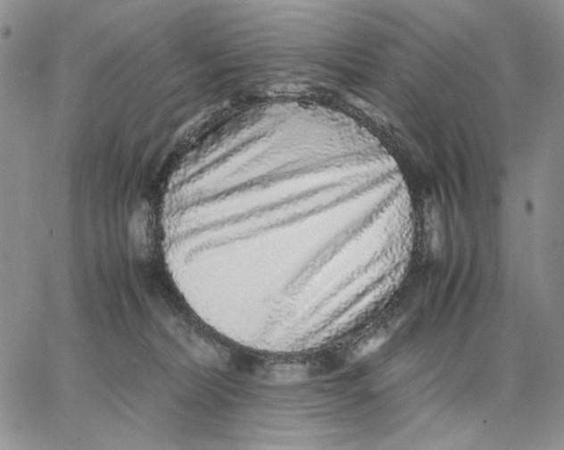 X0000062850228200602031635