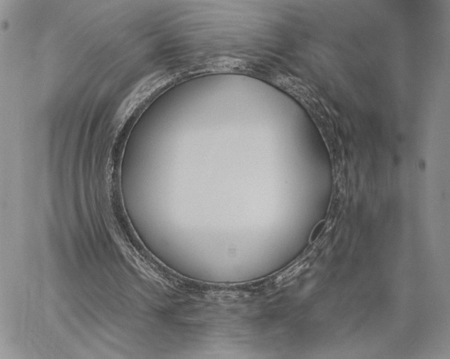 X0000062850242200602031634