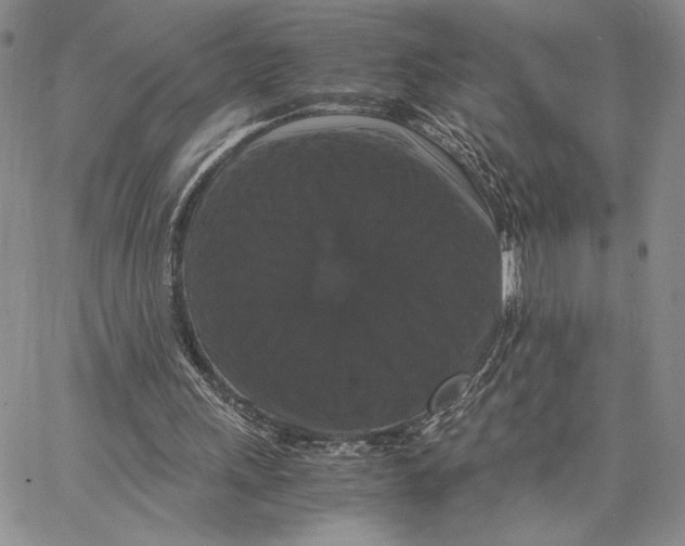 X0000062850243200602031634
