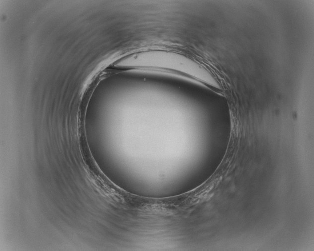 X0000062850244200602031634