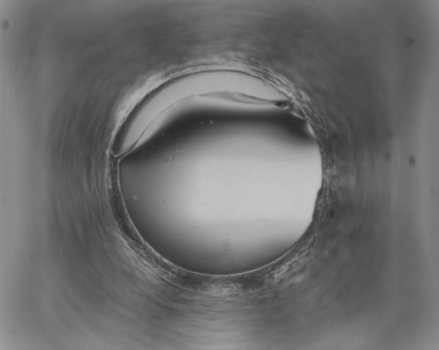 X0000062850248200602031634