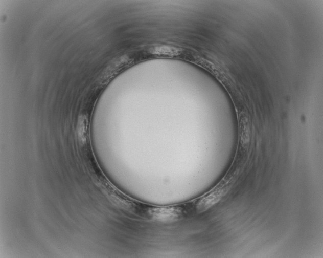 X0000062850273200602031634