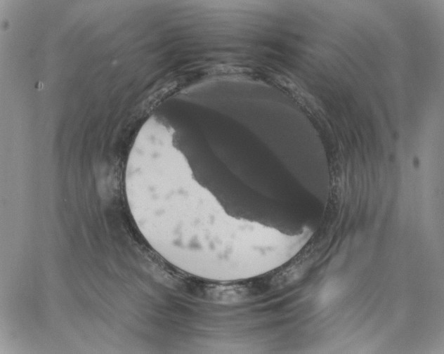 X0000062850277200602031634