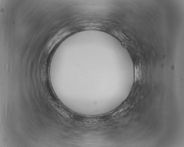 X0000062850291200602031634