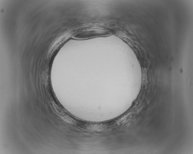 X0000062850293200602031634
