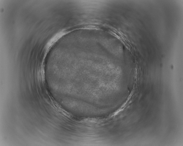 X0000062850294200602031634
