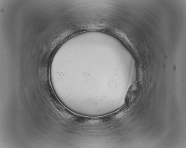 X0000062850299200602031633