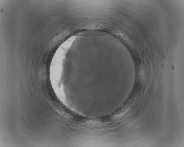 X0000062850303200602031633