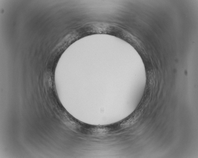 X0000062850313200602031633