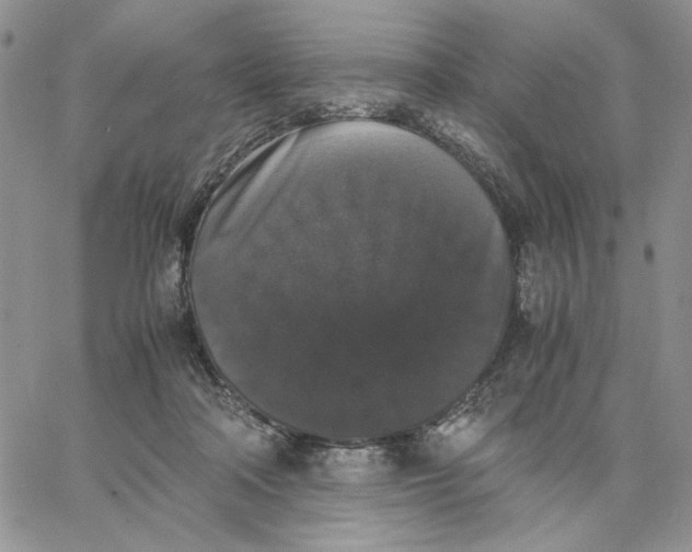 X0000062850314200602031633
