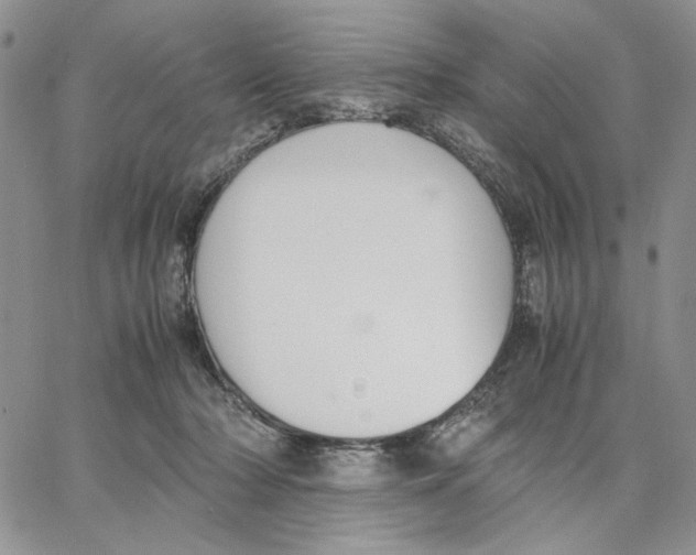X0000062850318200602031633