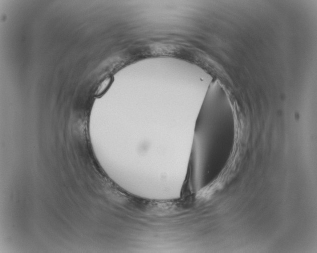 X0000062850329200602031633