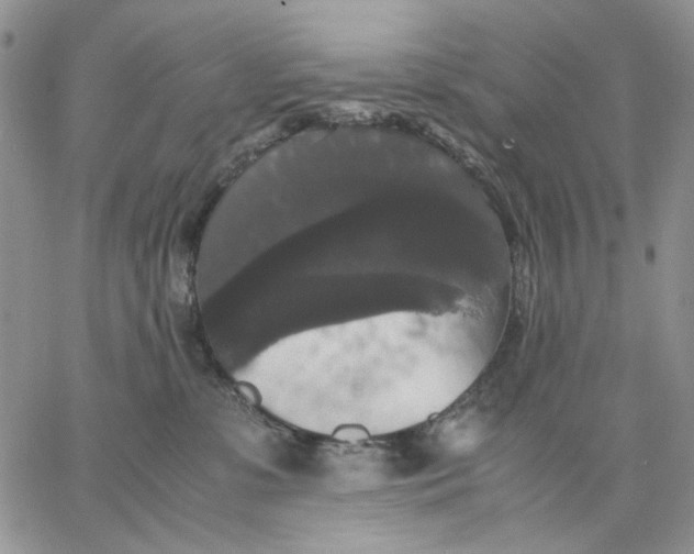 X0000062850331200602031633