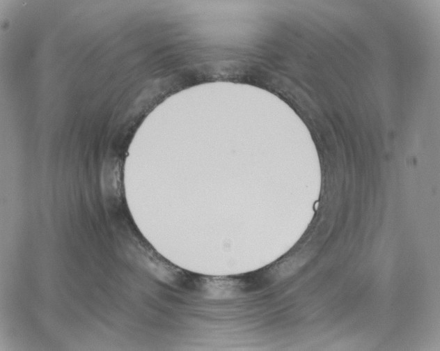 X0000062850336200602031633