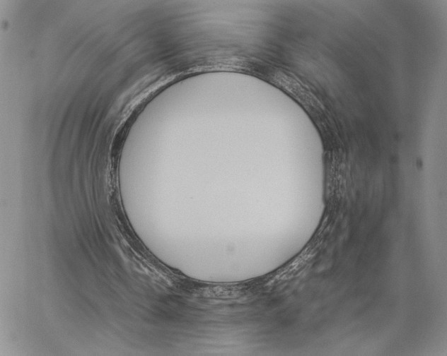X0000062850338200602031632