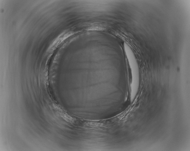 X0000062850339200602031632