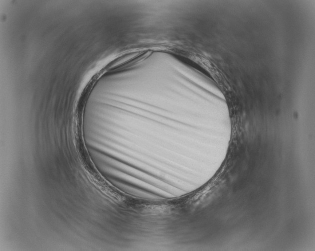 X0000062850342200602031632