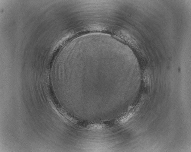 X0000062850352200602031632