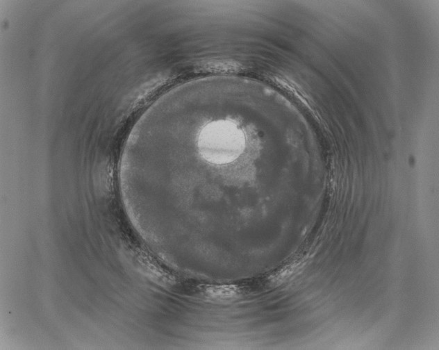 X0000062850355200602031632