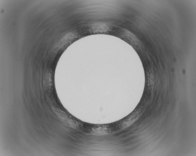 X0000062850362200602031633