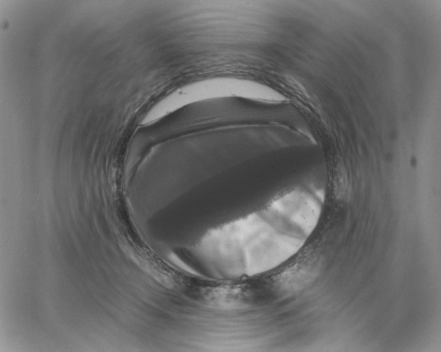 X0000062850366200602031633