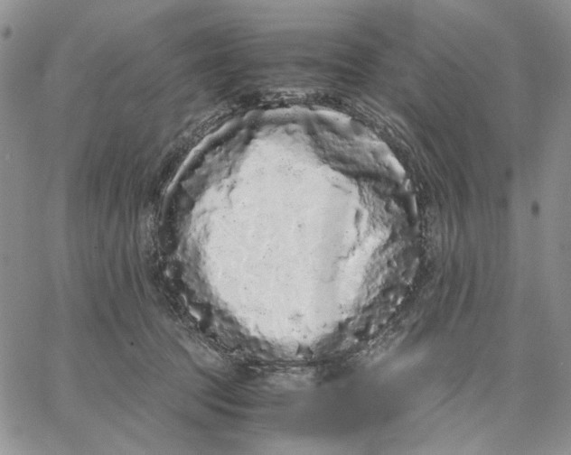 X0000062850369200602031633