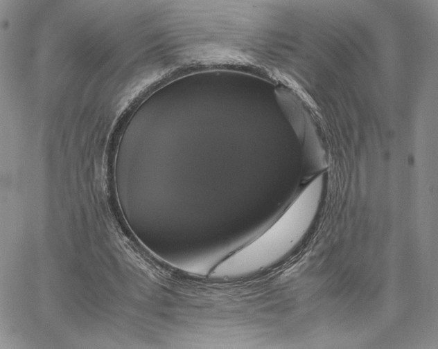 X0000062850391200602031632