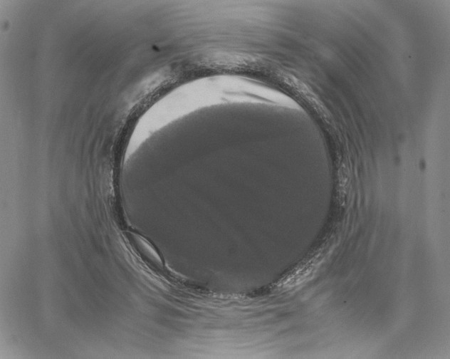 X0000062850399200602031632
