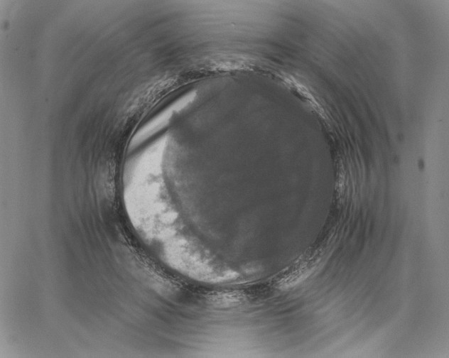 X0000062850402200602031632