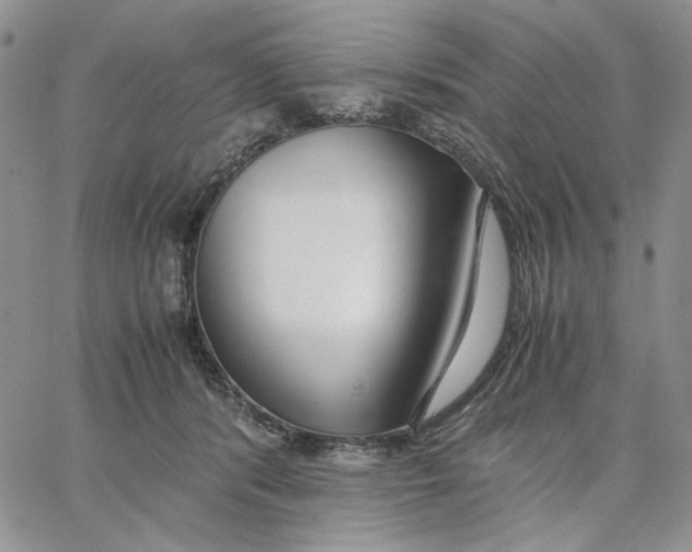X0000062850416200602031632