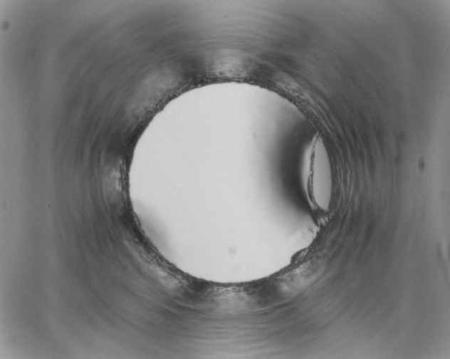 X0000062850424200602031631