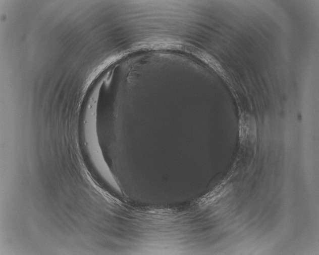 X0000062850438200602031631