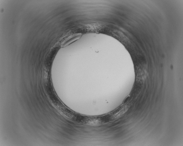 X0000062850456200602031631