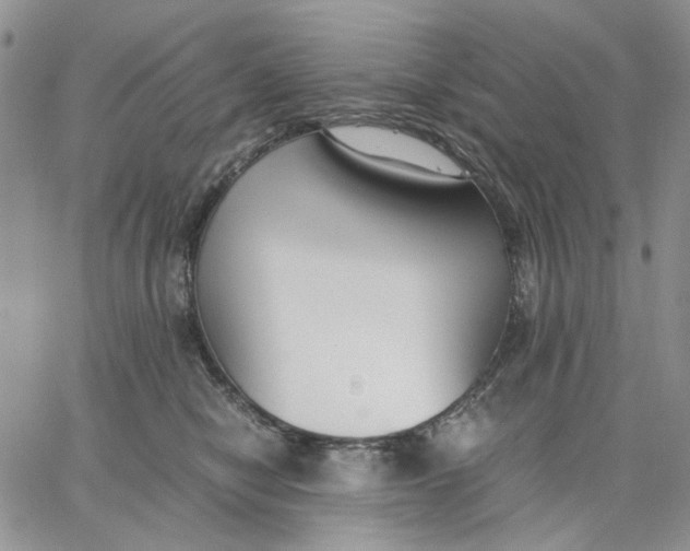 X0000062850470200602031631