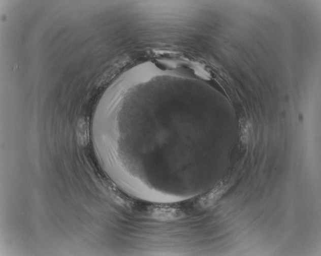 X0000062850471200602031631