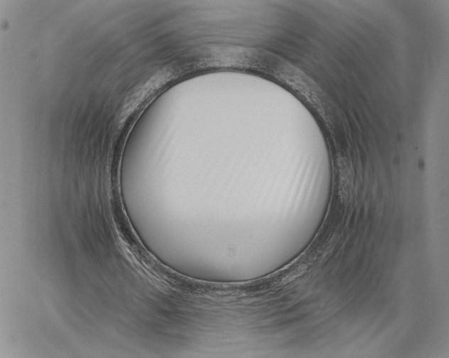 X0000062850482200602031631