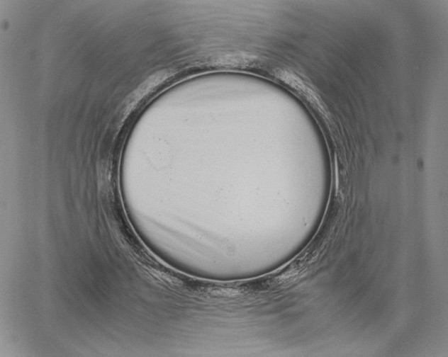 X0000062850483200602031631