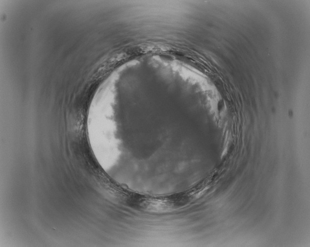 X0000062850507200602031630